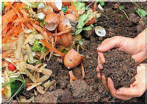 5 ways to make natural compost