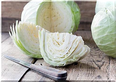 Different types of cabbage cause body odor