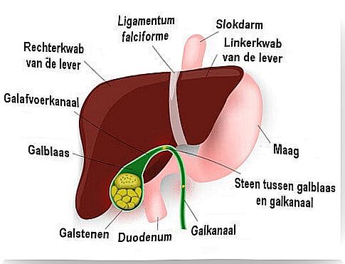 gallbladder problems