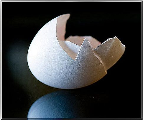 Eggshell is a source of calcium