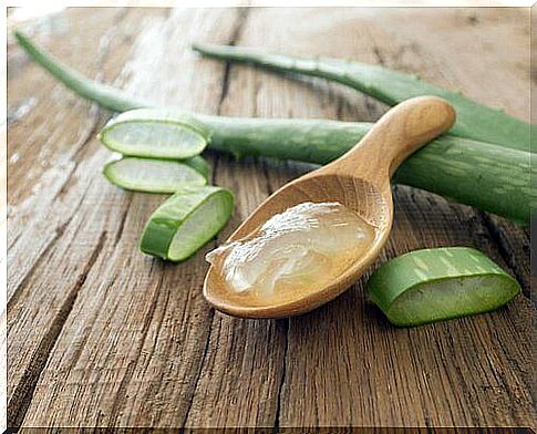 Aloe vera gel to heal wounds