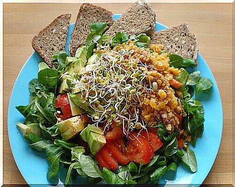 Salad with corn, avocado and tomato