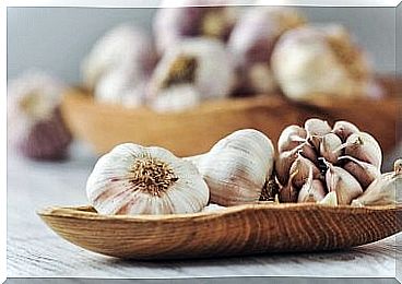 the fantastic properties of garlic