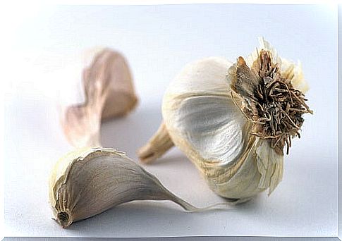 garlic4