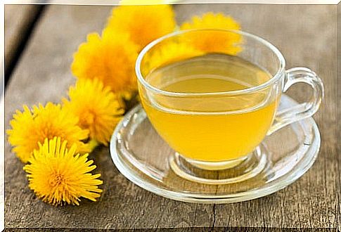 Lower your cholesterol with plant dandelion tea