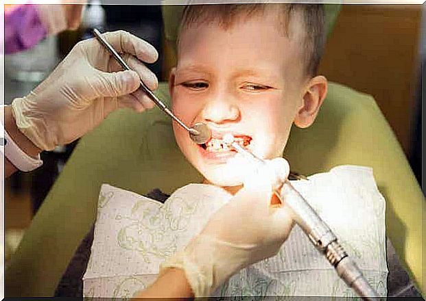 Orthodontist looks at a child's teeth
