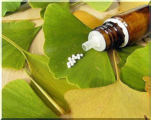 Gingko biloba pills on leaf