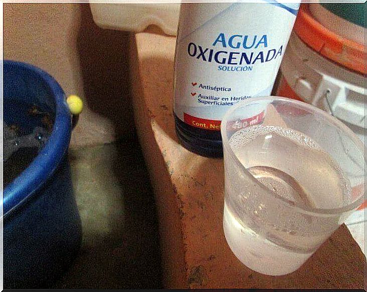 Oxygenated water