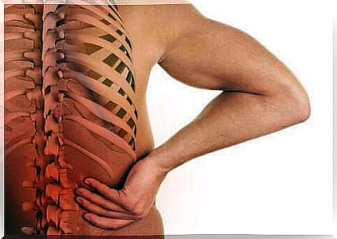 Low back pain is one of the symptoms of spondyloarthropathies