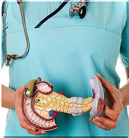 Doctor with plastic pancreas