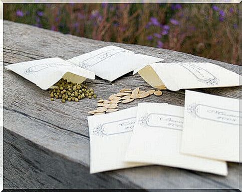Seeds with bags