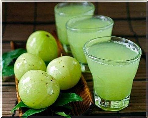 Increase platelet count with Indian gooseberry