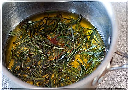 Rosemary in a pan with olive oil