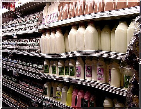 Limit dairy products for healthier guts