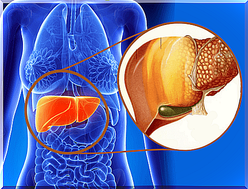 What is fatty liver?  How can you treat it?