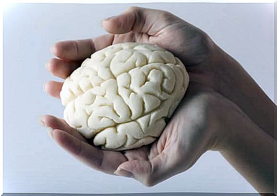 Brain in two hands